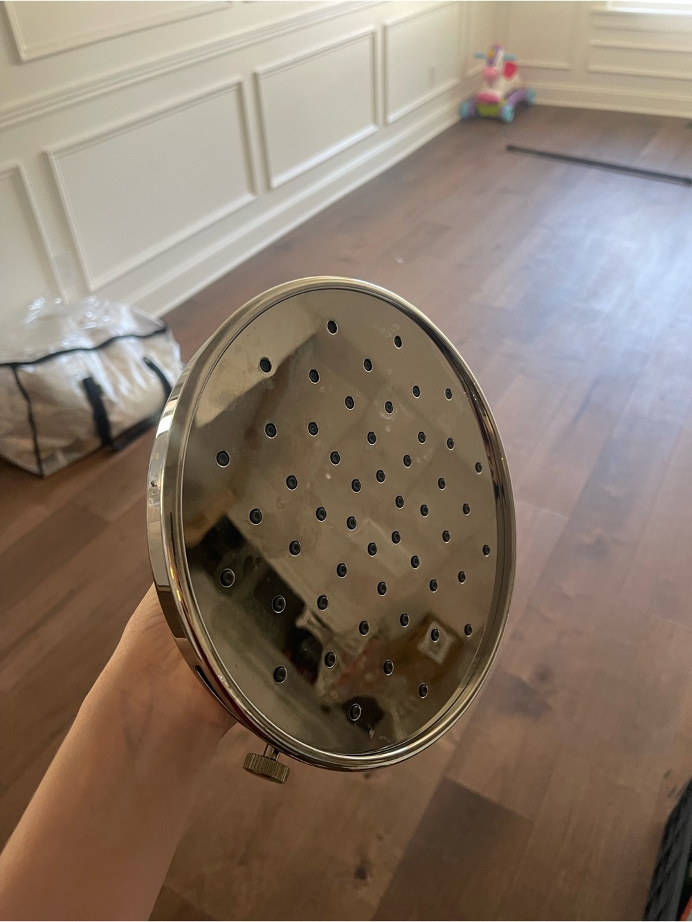 Koehler Round Handheld Shower Head - Polished Nickel